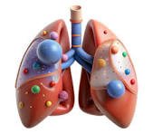 Respiratory Medicine