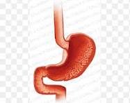 Gastroenterology